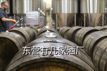 東營(yíng)有幾家酒廠