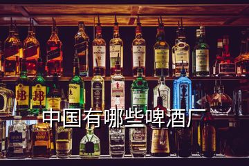 中國(guó)有哪些啤酒廠