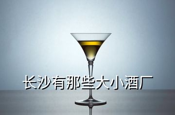 長沙有那些大小酒廠