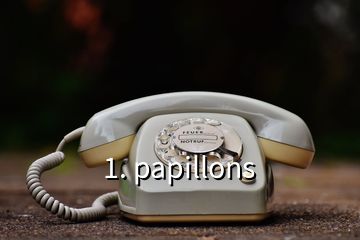 1. papillons