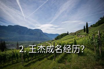 2. 王杰成名經(jīng)歷？