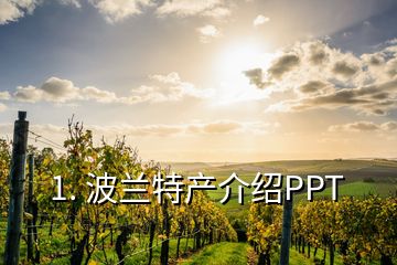 1. 波蘭特產(chǎn)介紹PPT