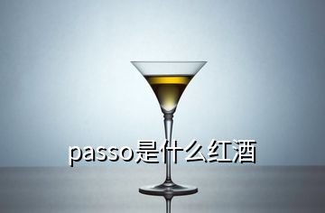 passo是什么紅酒