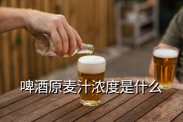 啤酒原麥汁濃度是什么