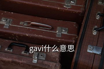 gavi什么意思