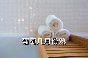 葡萄幾月份熟