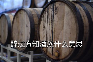 醉過(guò)方知酒濃什么意思