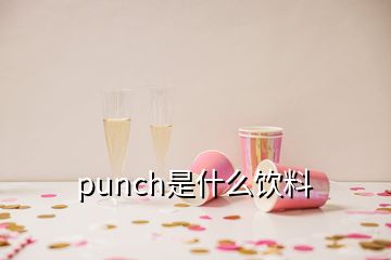 punch是什么飲料