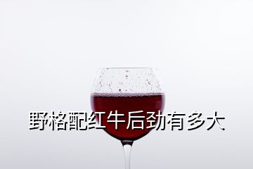 野格配紅牛后勁有多大