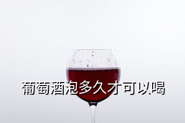 葡萄酒泡多久才可以喝