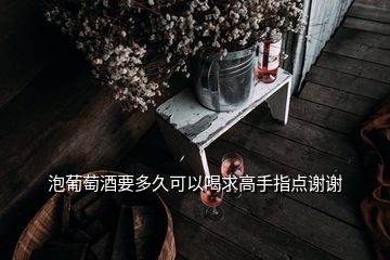 泡葡萄酒要多久可以喝求高手指點謝謝