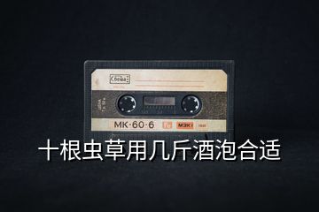 十根蟲(chóng)草用幾斤酒泡合適