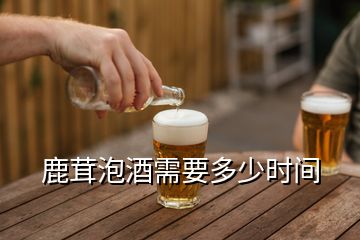 鹿茸泡酒需要多少時間