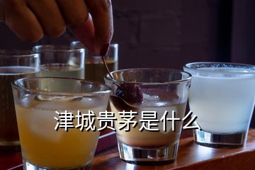 津城貴茅是什么