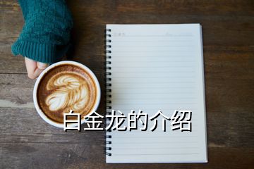 白金龍的介紹