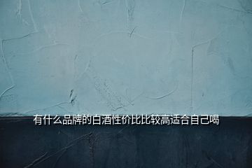 有什么品牌的白酒性價(jià)比比較高適合自己喝