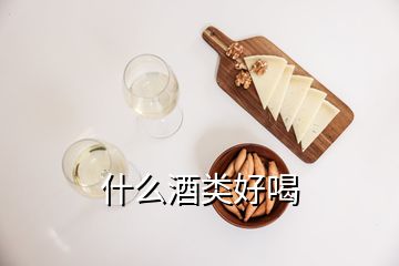 什么酒類好喝