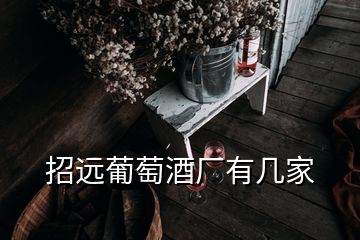 招遠(yuǎn)葡萄酒廠有幾家