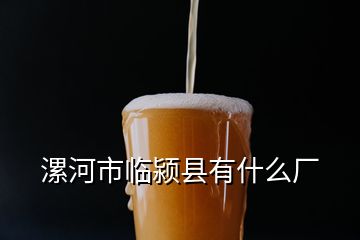 漯河市臨潁縣有什么廠