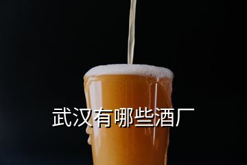 武漢有哪些酒廠