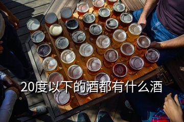 20度以下的酒都有什么酒