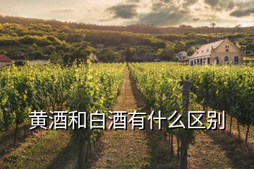 黃酒和白酒有什么區(qū)別