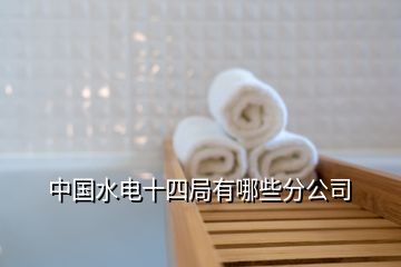 中國(guó)水電十四局有哪些分公司