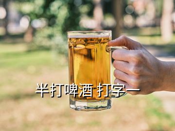 半打啤酒 打字一