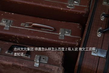 滄州大元集團 待遇怎么樣怎么百度上有人說 拖欠工資啊誰知道