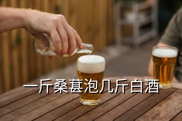 一斤桑葚泡幾斤白酒