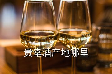 貴幸酒產(chǎn)地哪里