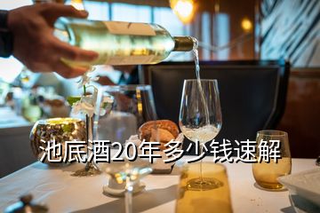 池底酒20年多少錢速解