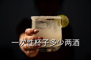 一次性杯子多少兩酒