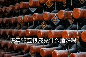 陳年52五糧液兌什么酒好喝