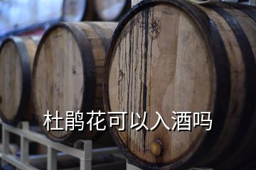 杜鵑花可以入酒嗎