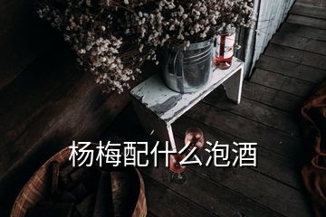 楊梅配什么泡酒