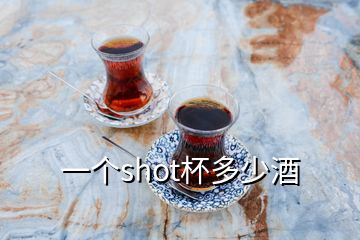 一個(gè)shot杯多少酒