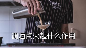 調(diào)酒點(diǎn)火起什么作用