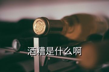 酒糟是什么啊