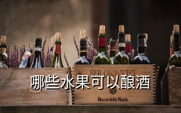 哪些水果可以釀酒