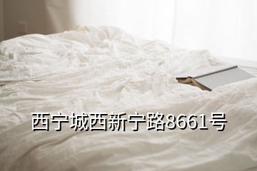 西寧城西新寧路8661號(hào)