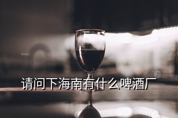 請(qǐng)問下海南有什么啤酒廠