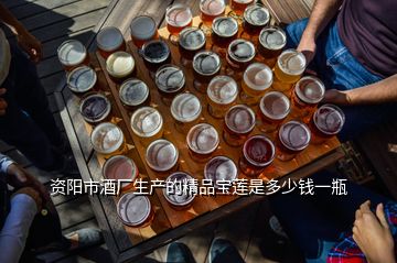 資陽市酒廠生產(chǎn)的精品寶蓮是多少錢一瓶