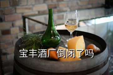 寶豐酒廠倒閉了嗎