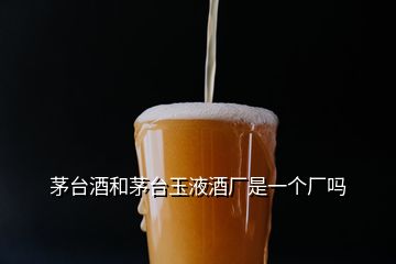 茅臺酒和茅臺玉液酒廠是一個廠嗎