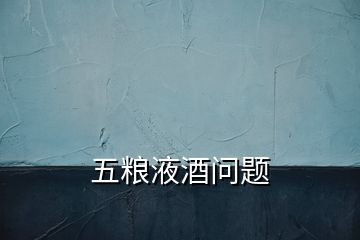 五糧液酒問(wèn)題