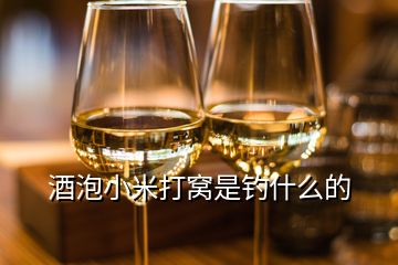 酒泡小米打窩是釣什么的