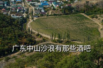 廣東中山沙浪有那些酒吧