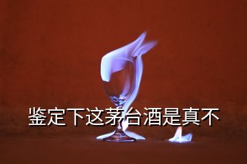 鑒定下這茅臺酒是真不