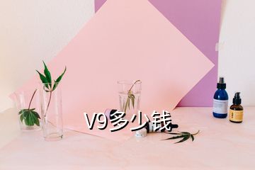 V9多少錢